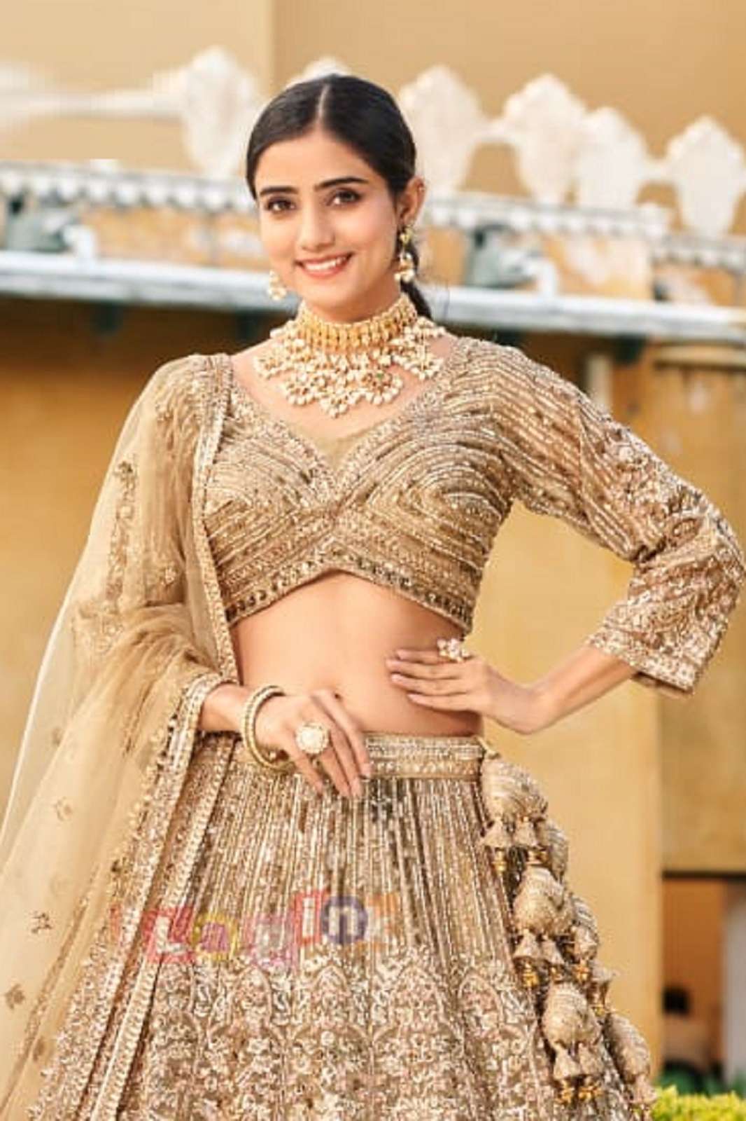 SHRI BALAJI ALL OVER EMBROIDERED READY TO WEAR NET SAREES