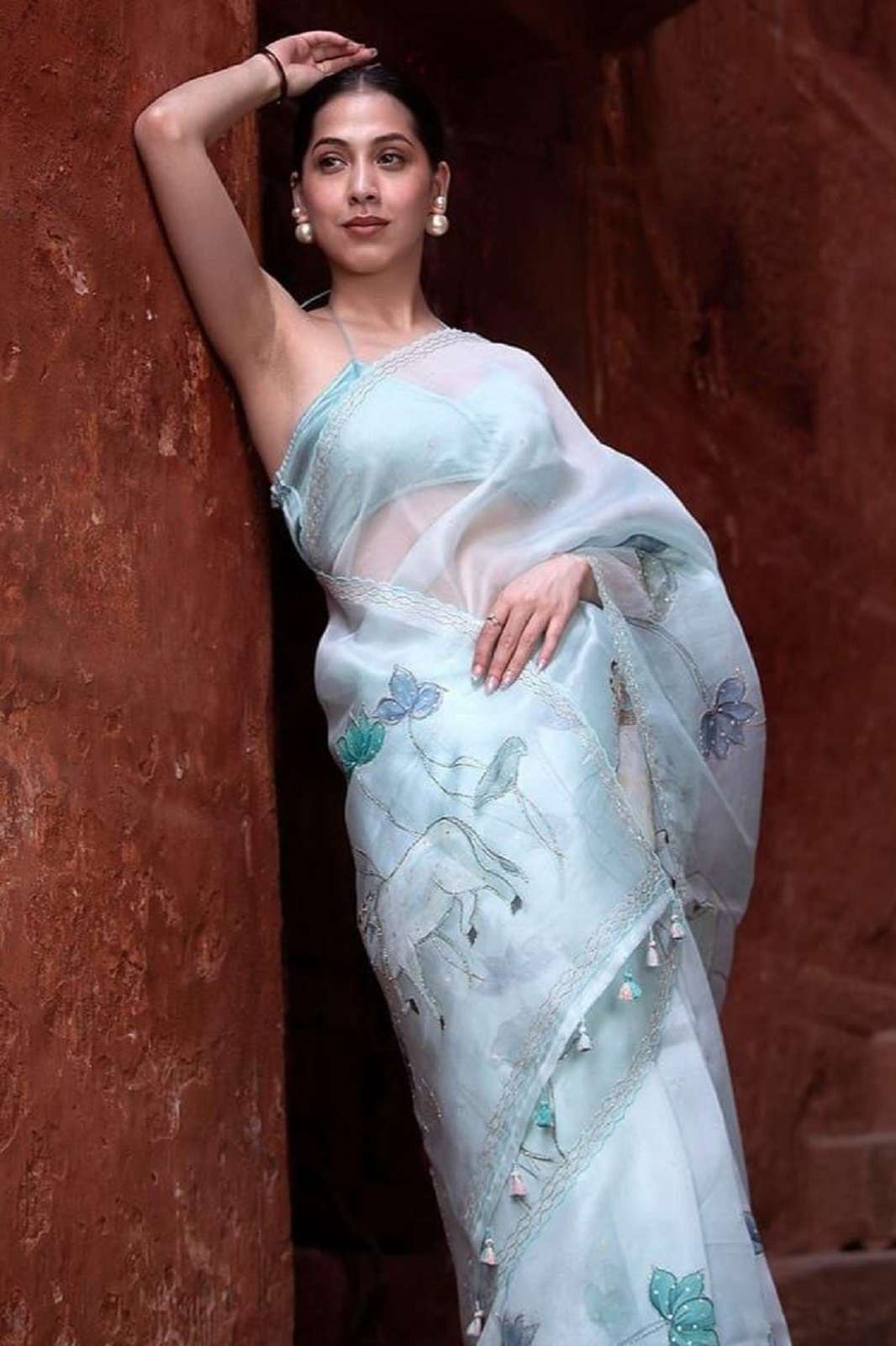 SHRI BALAJI SOFT ORGANZA HANDWORKED FANCY SAREES