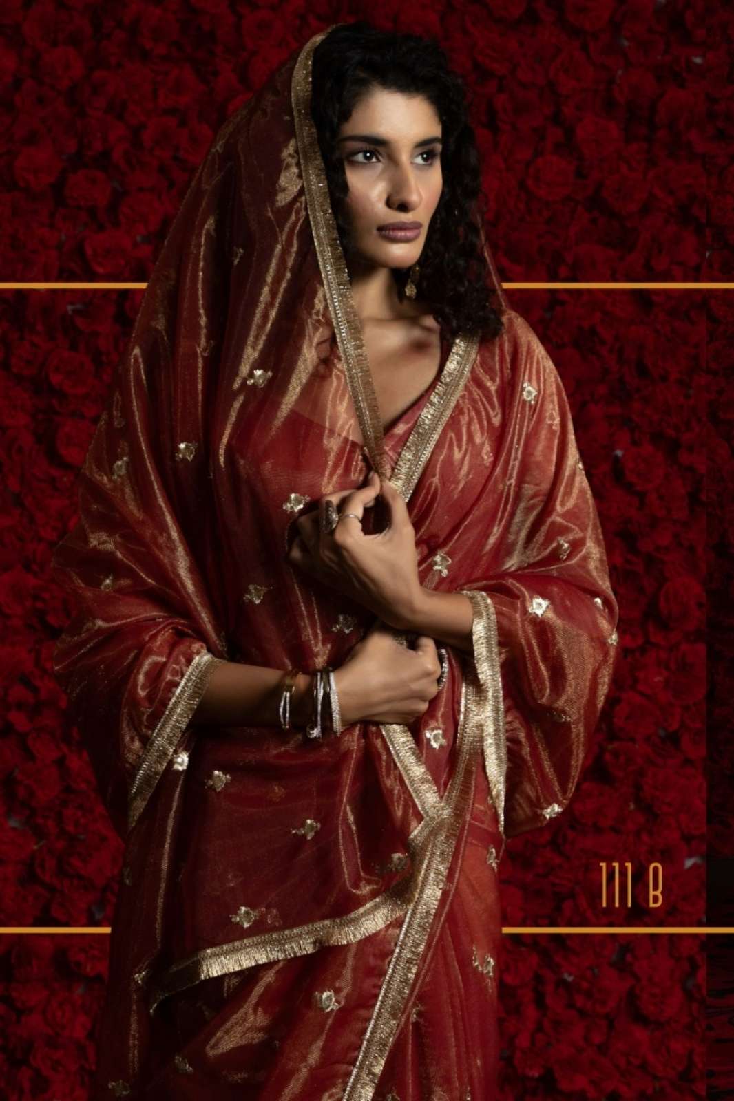 Shri Balaji Emporium 111A TO 111E Net Organza Zari Embroidery Saree