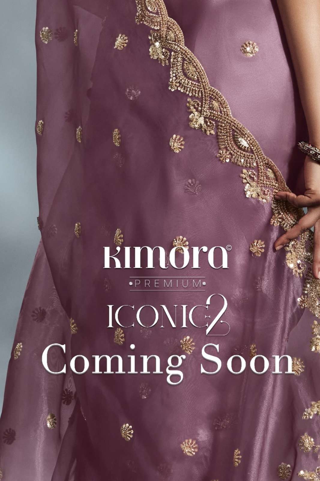 Kimora Iconic 2 Fancy Designer Dorned Border Saree