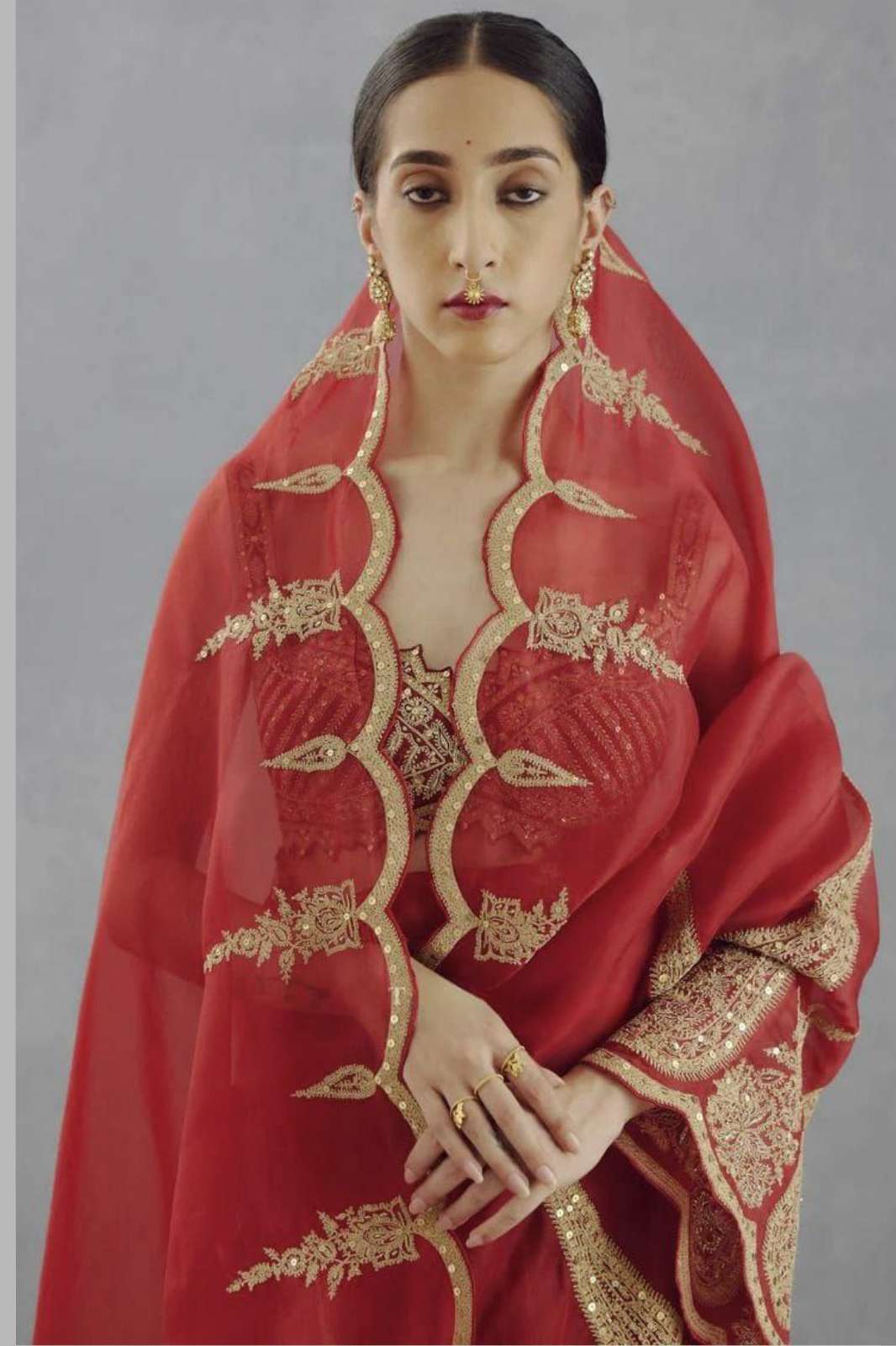 Shri Balaji Emporium 3670 Heavy Quality Organza Tissue Saree