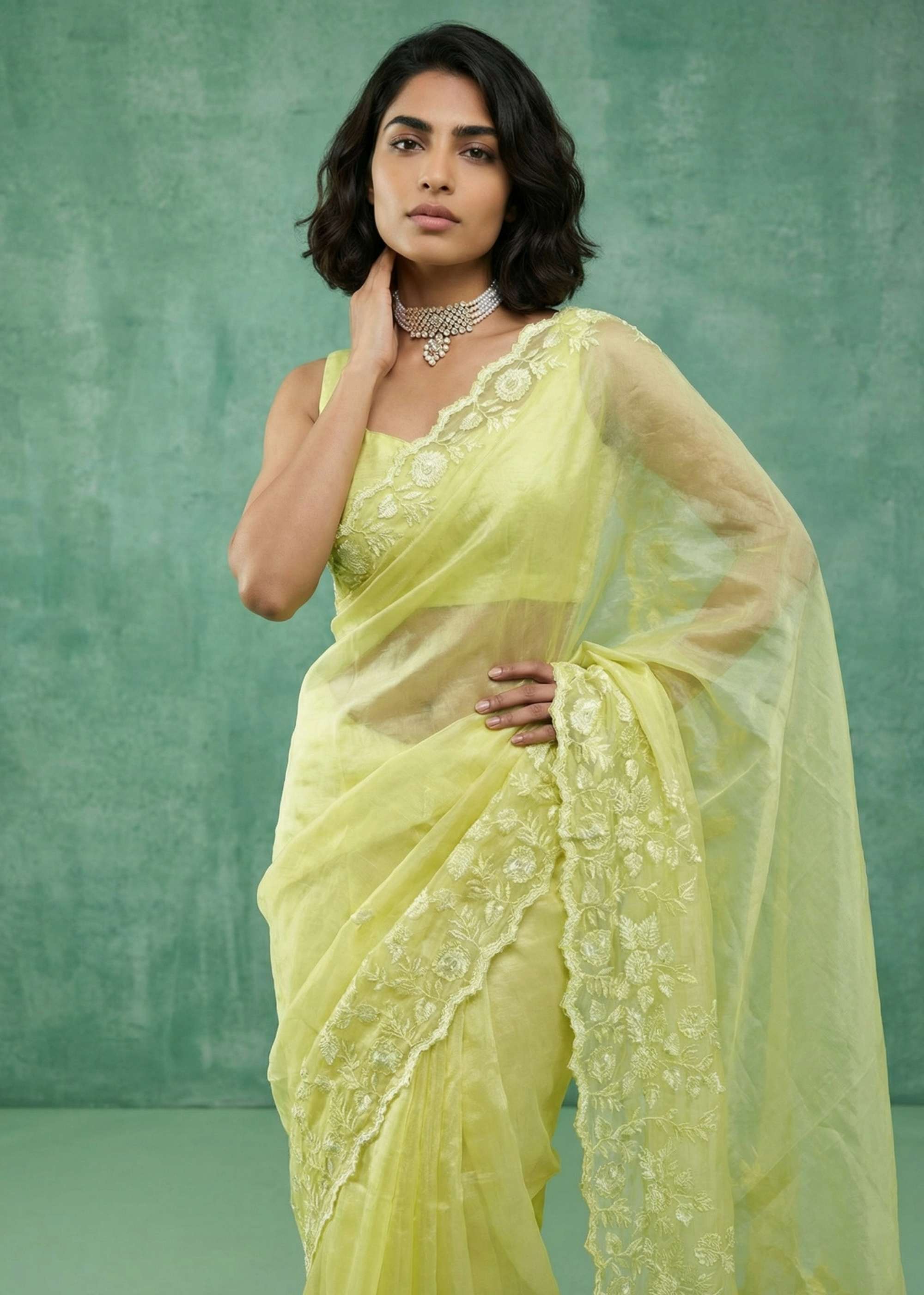 Shri Balaji Emporium 22360 CHANDA SILK THREAD FLOWER EMBROIDERY CUT WORK SAREE
