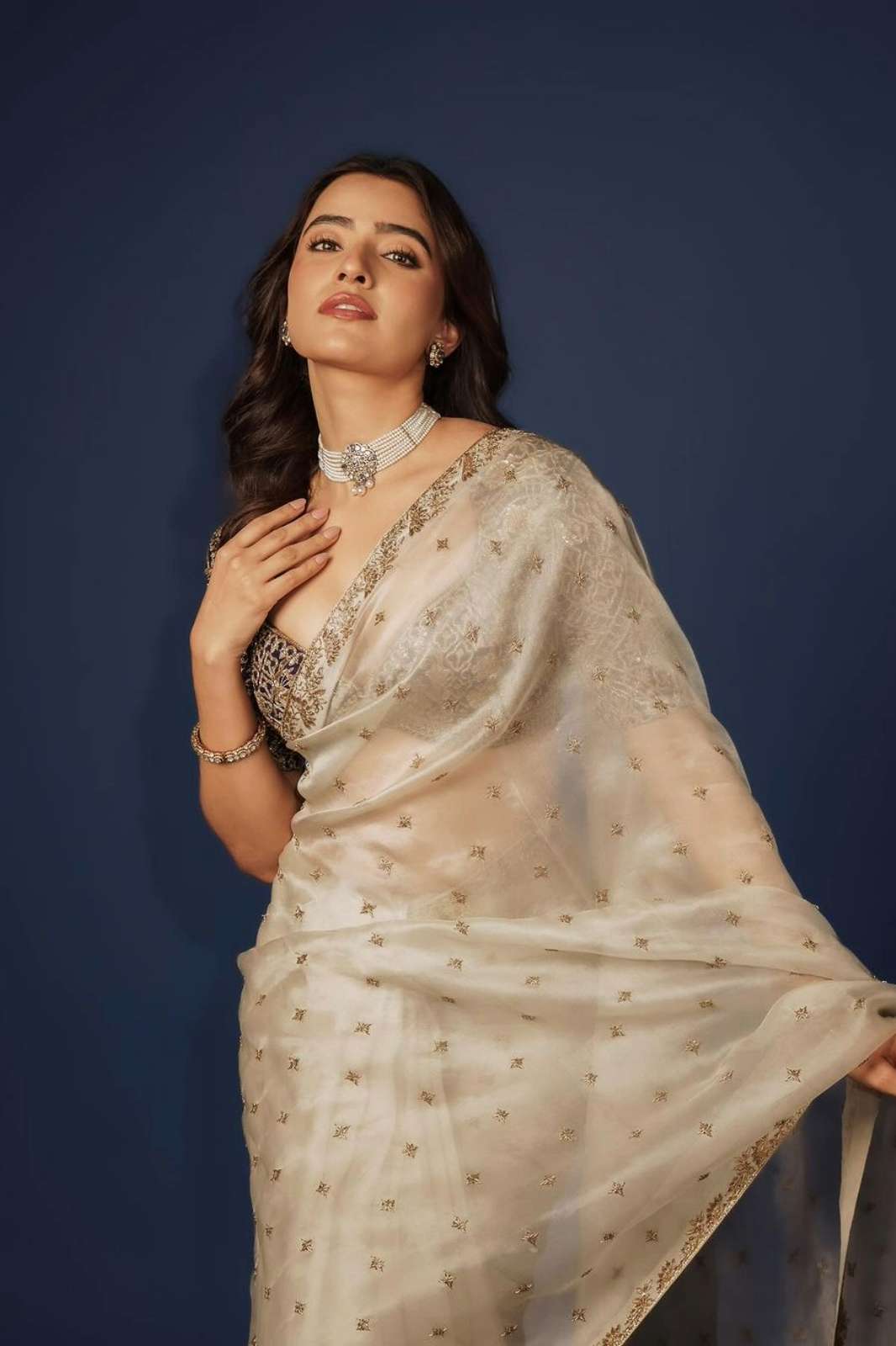Shri Balaji Emporium BT 396 Heavy Soft TB Organza saree With Heavy Thread Zari With Sequnce Work